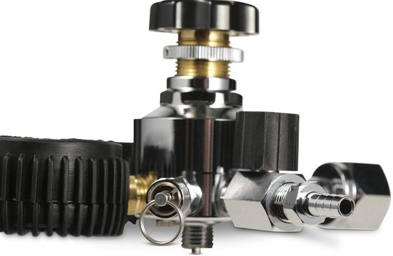 110V/220V 안전 압력 밸브와 성능과 함께 듀얼 스테이지 맥주 CO2 버그 조절기